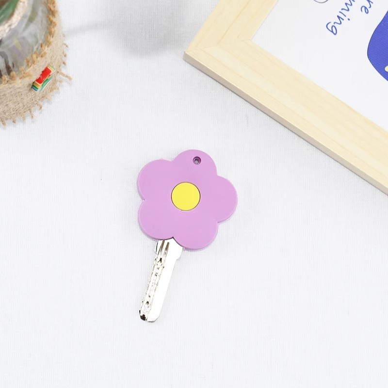 Keycase, keychain, silicone ho - đánh giá và giá Security Chain Door